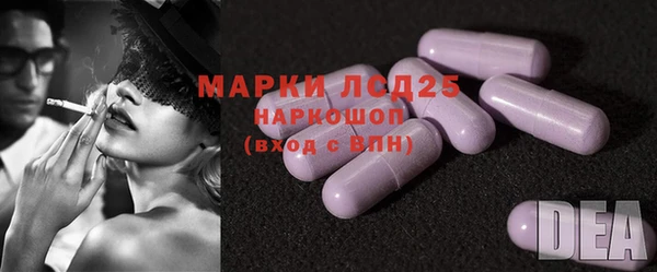 ГАЛЛЮЦИНОГЕННЫЕ ГРИБЫ Магас