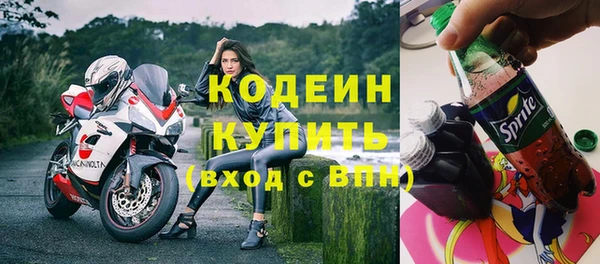 индика Липки
