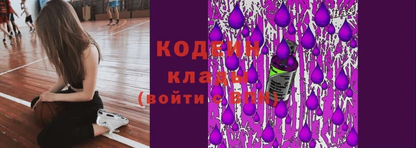 индика Липки