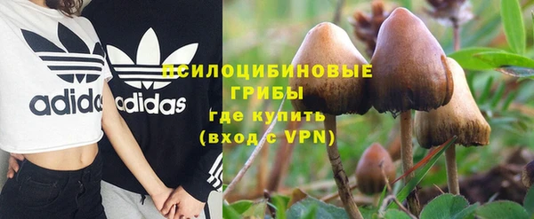 индика Липки