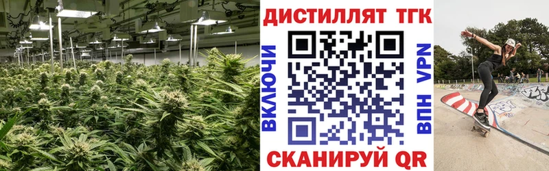 как найти закладки  Среднеколымск  ТГК Wax 